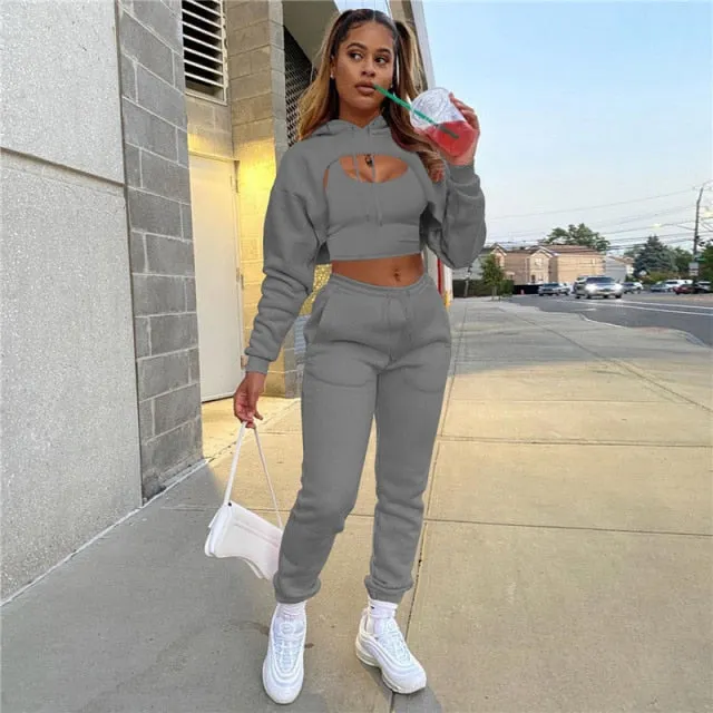 Autumn Fleece Pink 3 Three Piece Sets Tracksuit Women Outfits Sweat suits