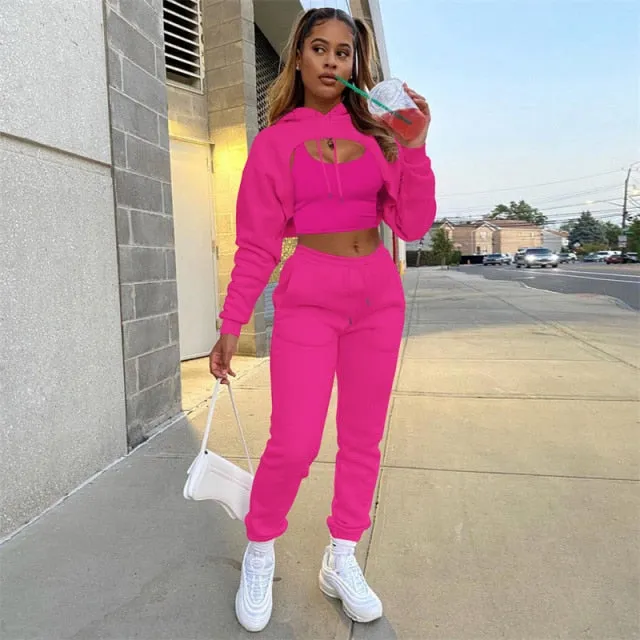 Autumn Fleece Pink 3 Three Piece Sets Tracksuit Women Outfits Sweat suits