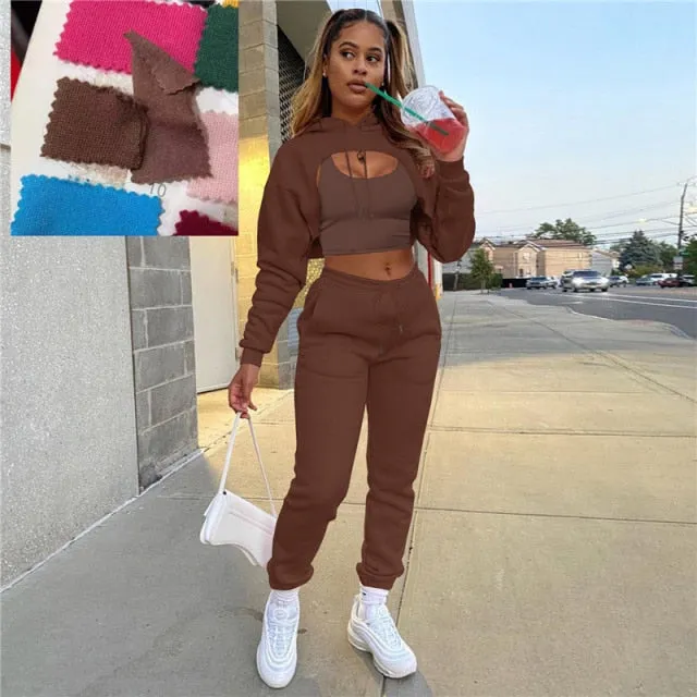 Autumn Fleece Pink 3 Three Piece Sets Tracksuit Women Outfits Sweat suits