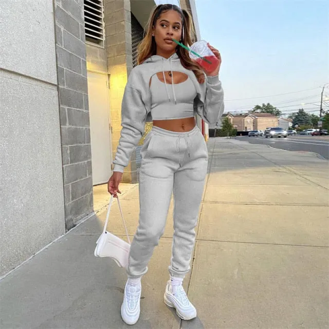 Autumn Fleece Pink 3 Three Piece Sets Tracksuit Women Outfits Sweat suits