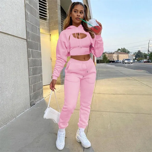 Autumn Fleece Pink 3 Three Piece Sets Tracksuit Women Outfits Sweat suits