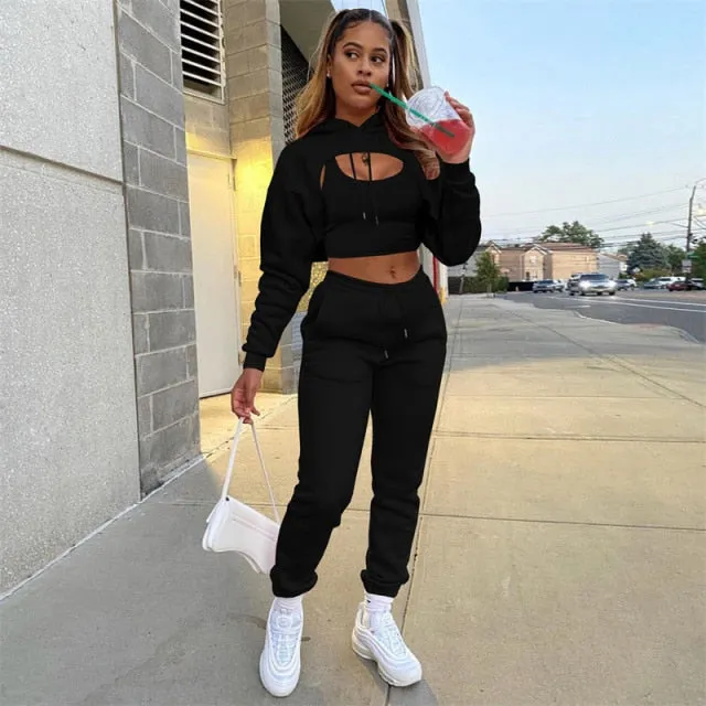 Autumn Fleece Pink 3 Three Piece Sets Tracksuit Women Outfits Sweat suits