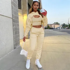 Autumn Fleece Pink 3 Three Piece Sets Tracksuit Women Outfits Sweat suits