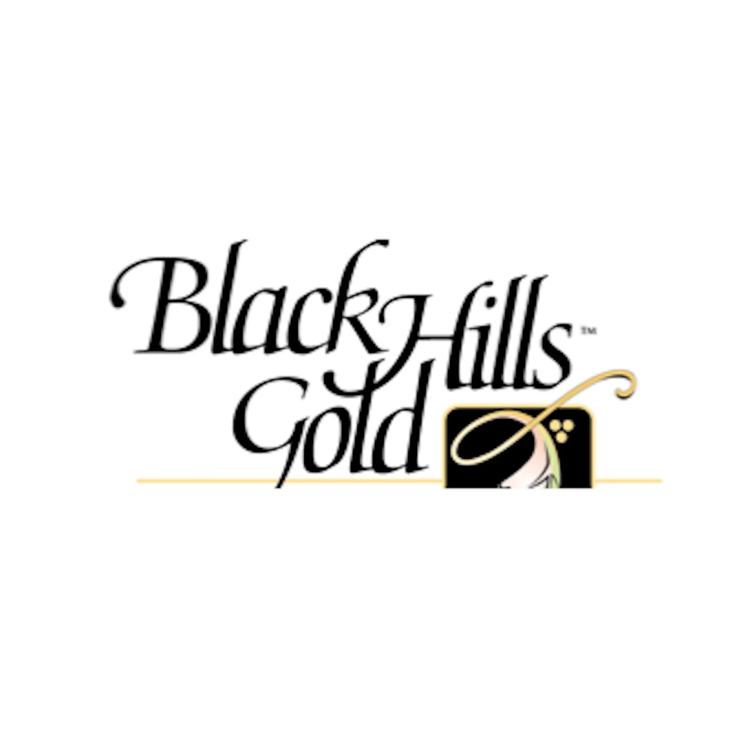 Black Hills Gold Silver Glimmer Diamond Horseshoe Necklace