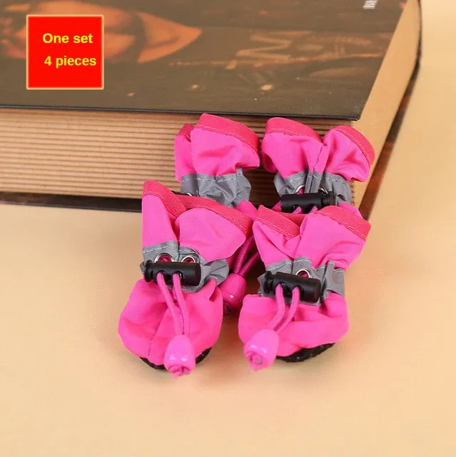 Elegant Dog boots for winter