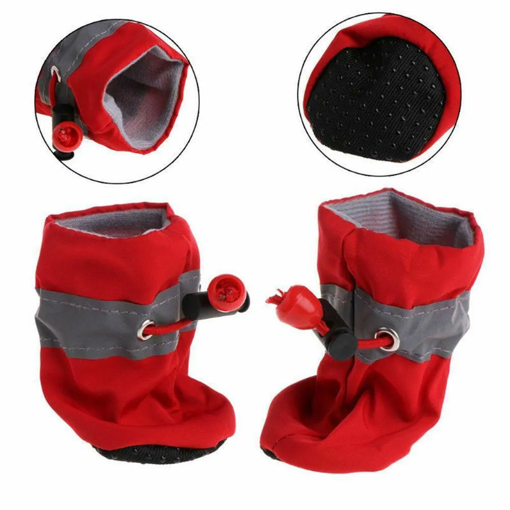Elegant Dog boots for winter
