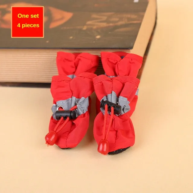 Elegant Dog boots for winter