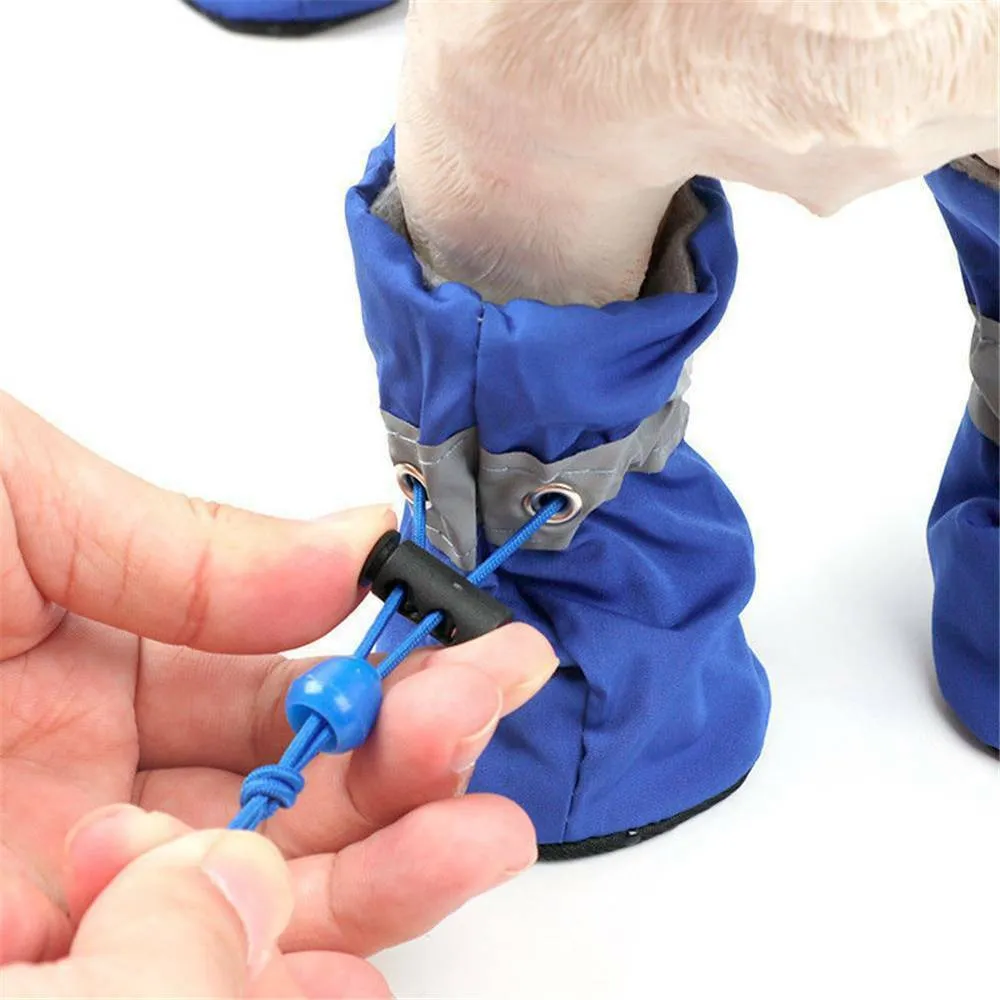 Elegant Dog boots for winter