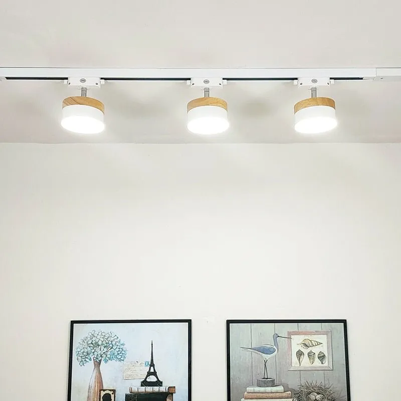 Energy-Efficient 12W LED Track Light for Ceiling Rails