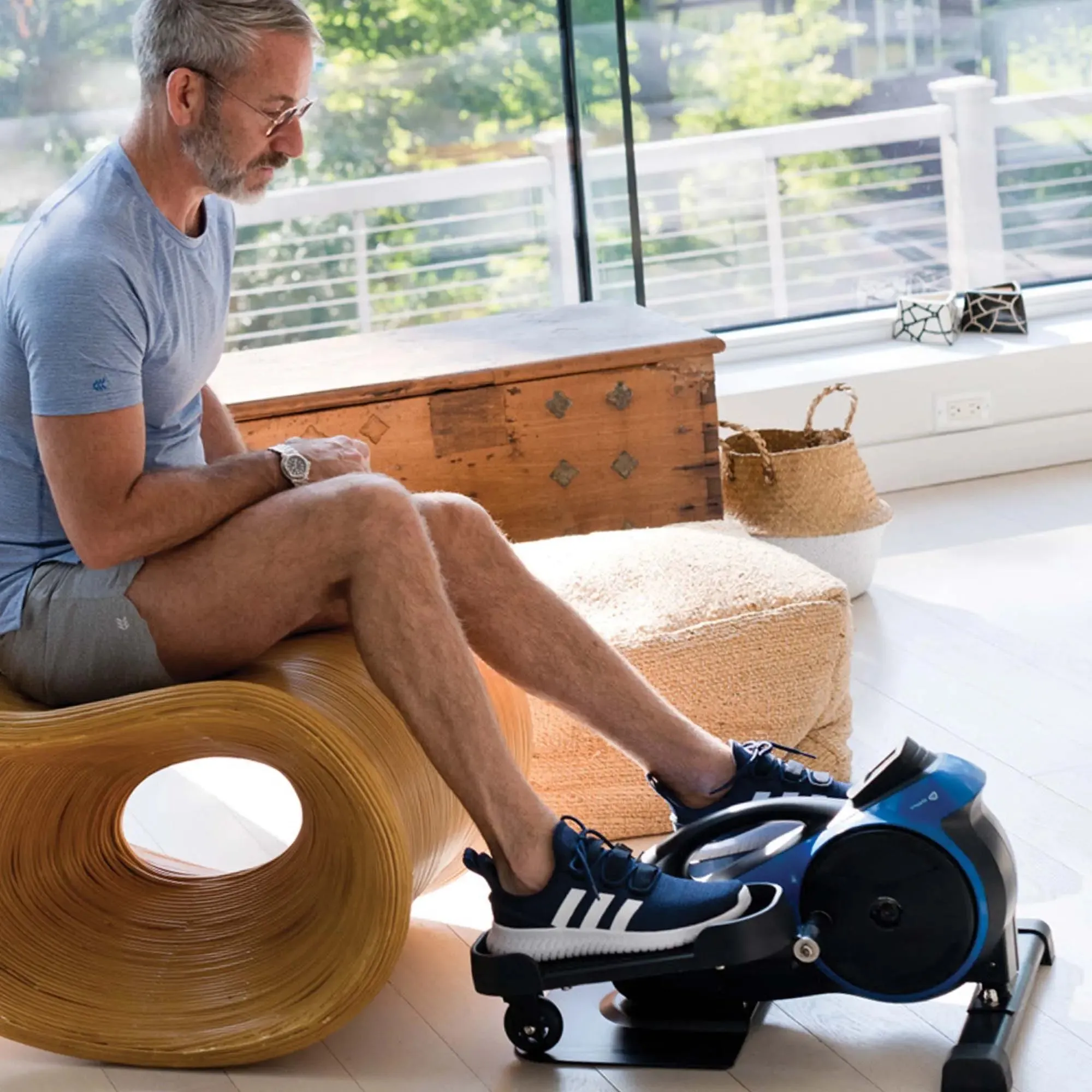 FlexStride Plus Under Desk Elliptical