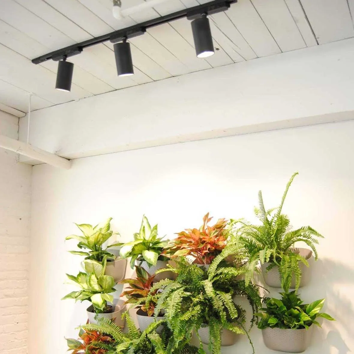Highland™ LED Grow Light