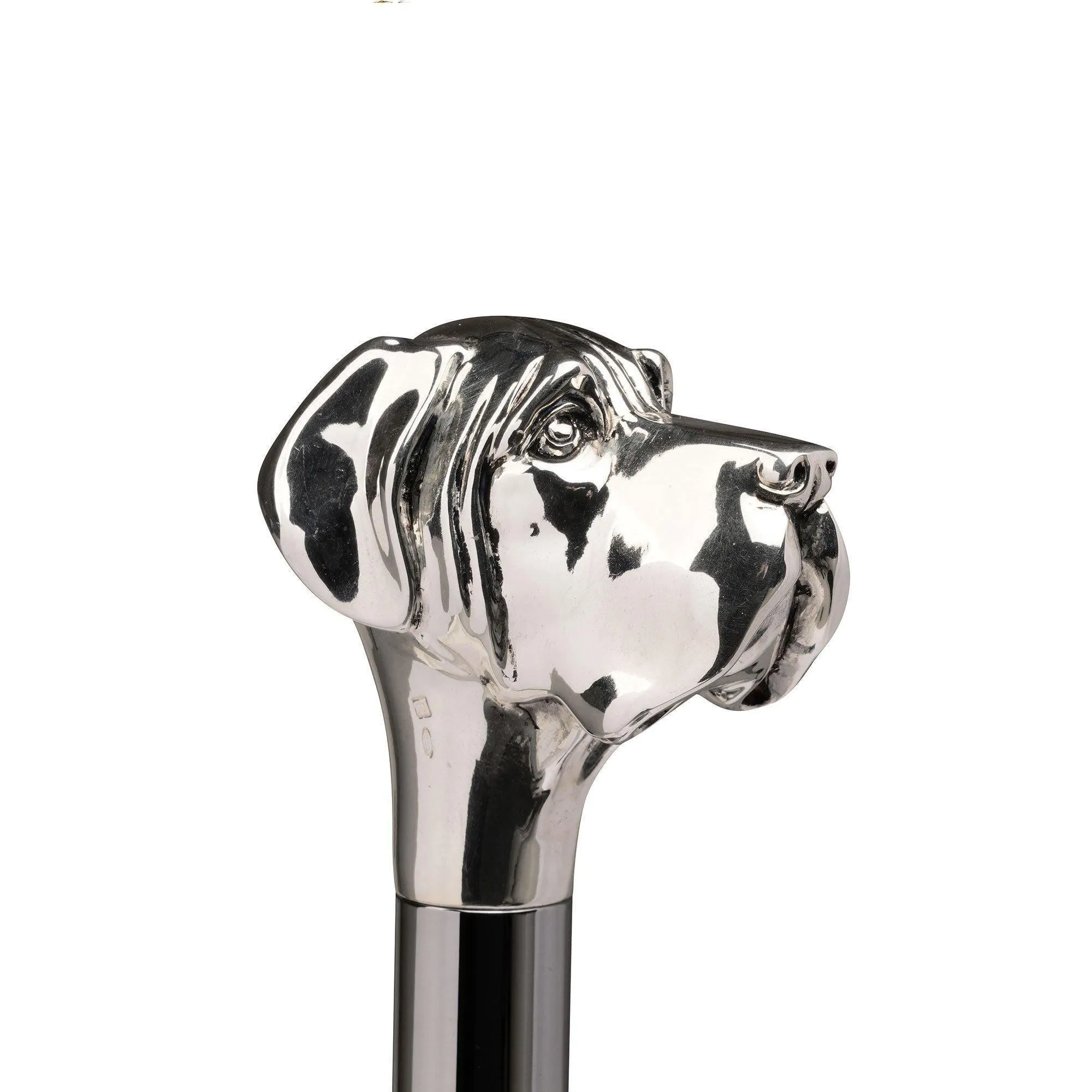 Labrador Shoehorn