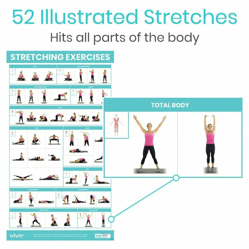 Vive Health Stretching Workout Poster